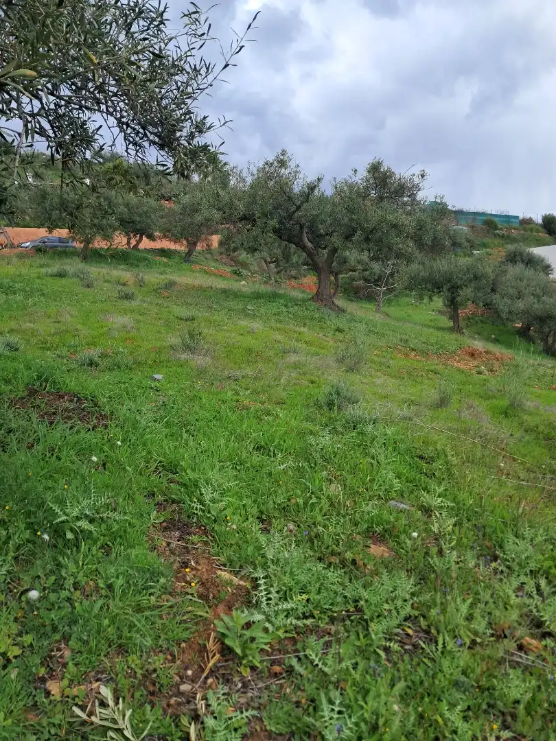 Finca rústica en  Diseminado el Cerval Pol 15 34B - Foto 10