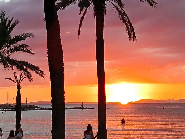 Piso en calle de Milà, 22 - Foto 2