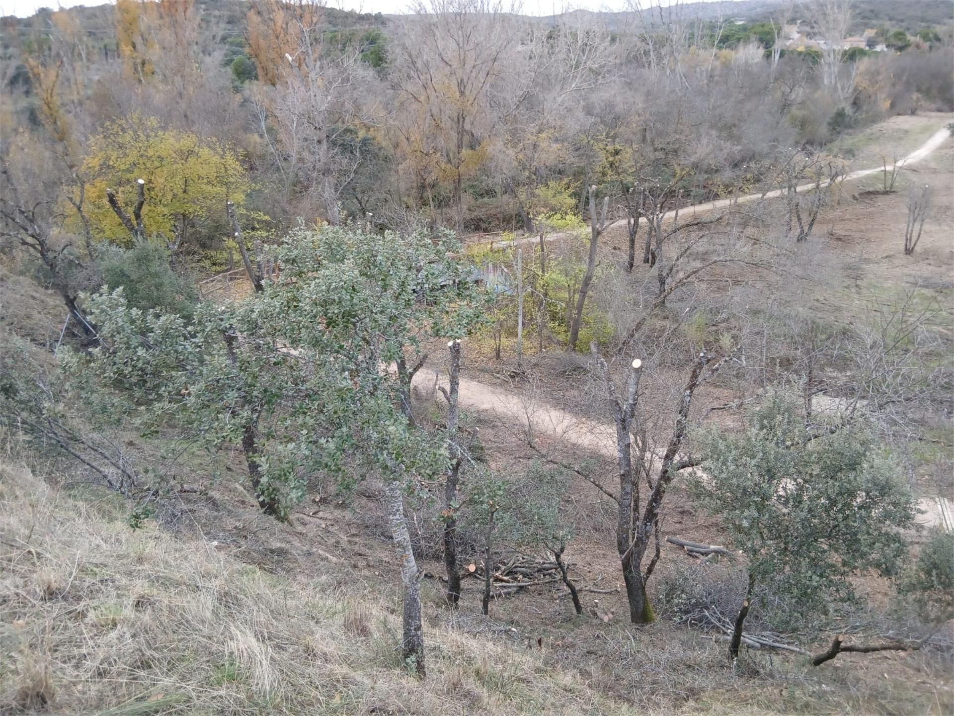 Finca rústica en  M-505 10 - Foto 9