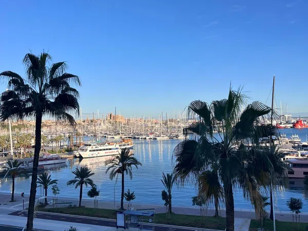 Piso en Avenida de Gabriel Roca, 26, Paseo Marítimo - Foto 23