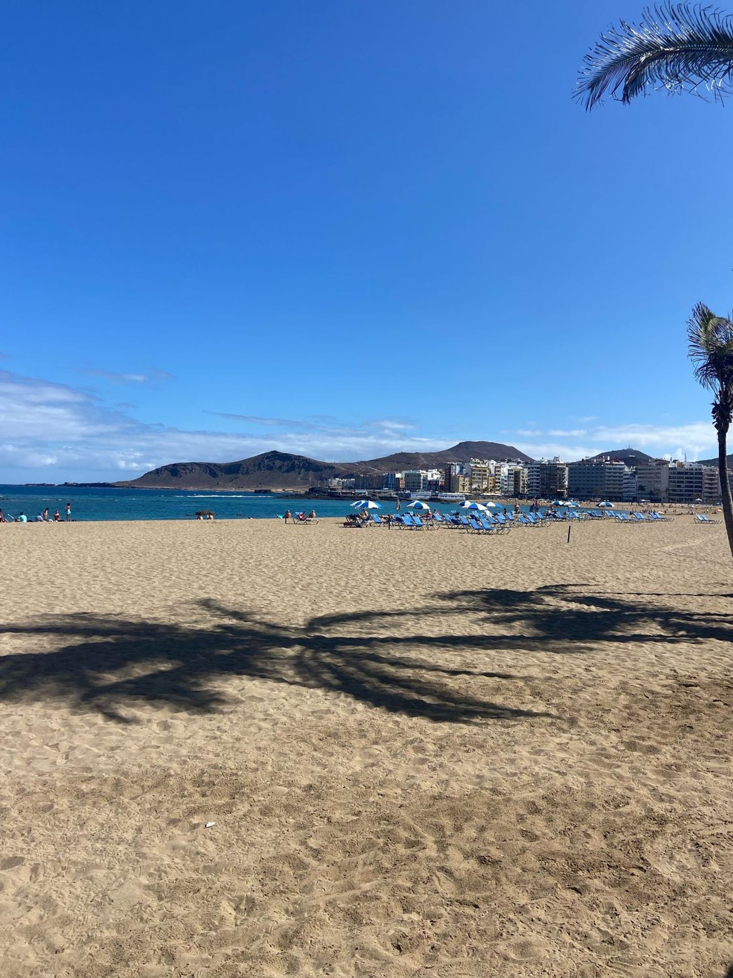 Estudio en calle secretario Artiles, 92 - Foto 7