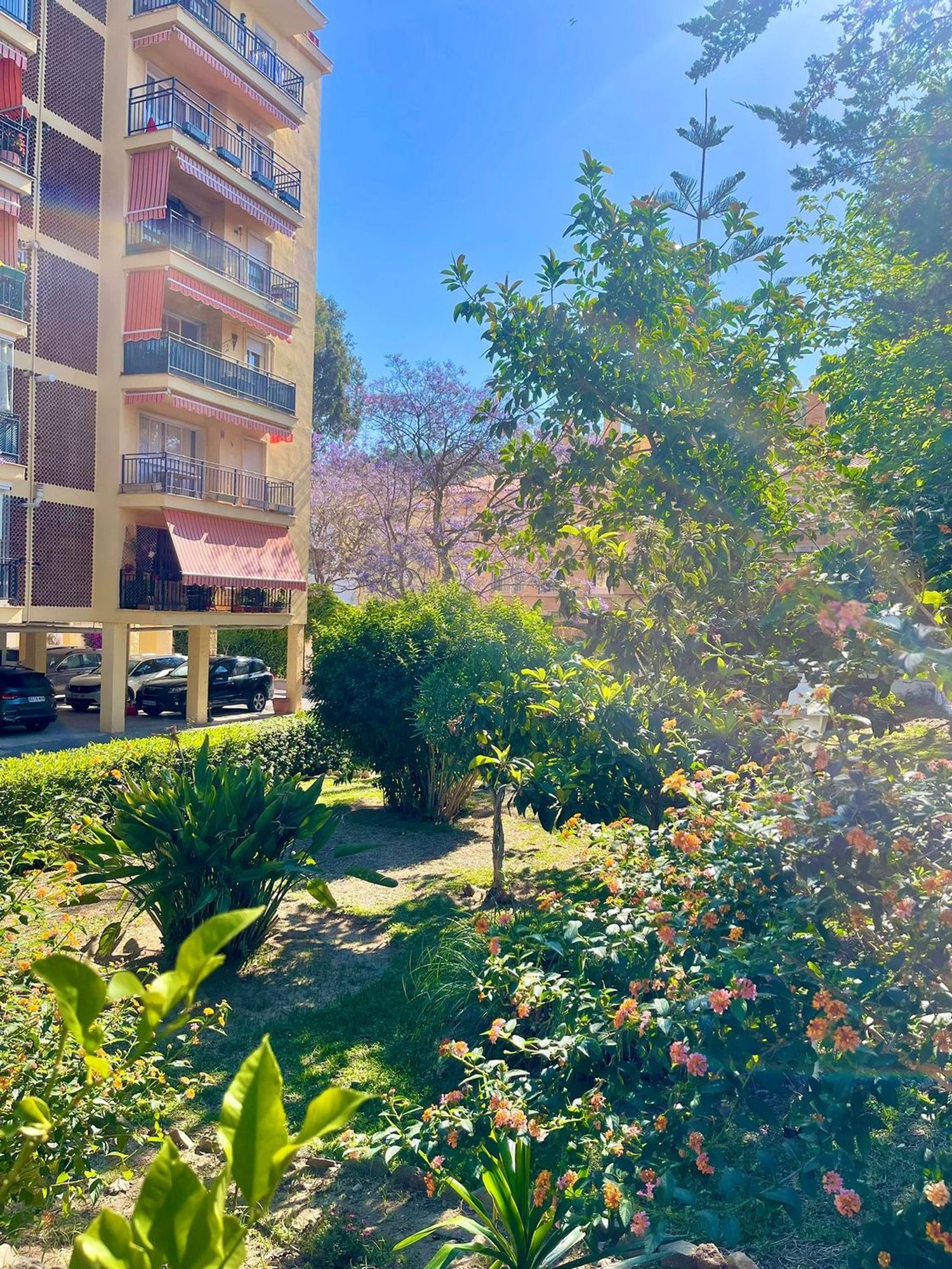 Piso en Calle República Argentina, 25, Limonar - Foto 23