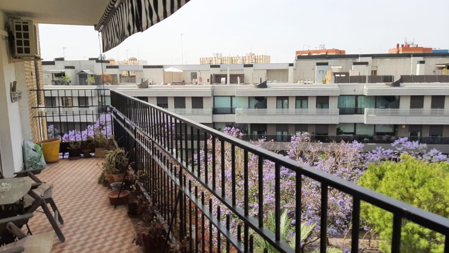 Piso en plaza Pintor Amalio García del Moral, 9 - Foto 1