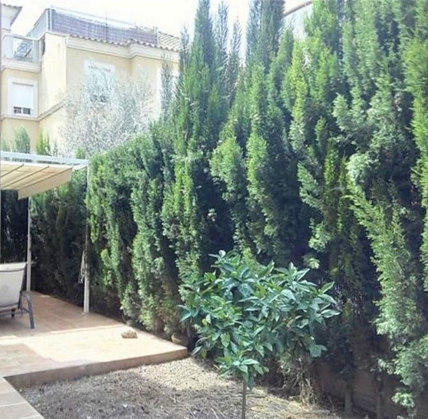 Piso en Calle de joan albons, 4, Zona Colegios - Son Moix - Foto 6
