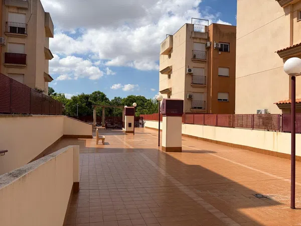 Piso en Avenida Pintor Pedro Cano, 51, El Palmar - Foto 29