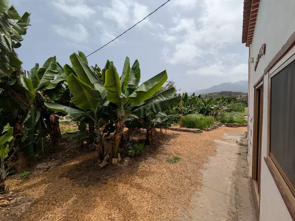 Casa rural en camino Carril, 39 - Foto 17