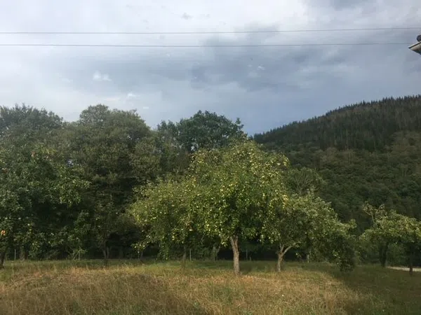 Finca rústica en Tineo - Foto 18