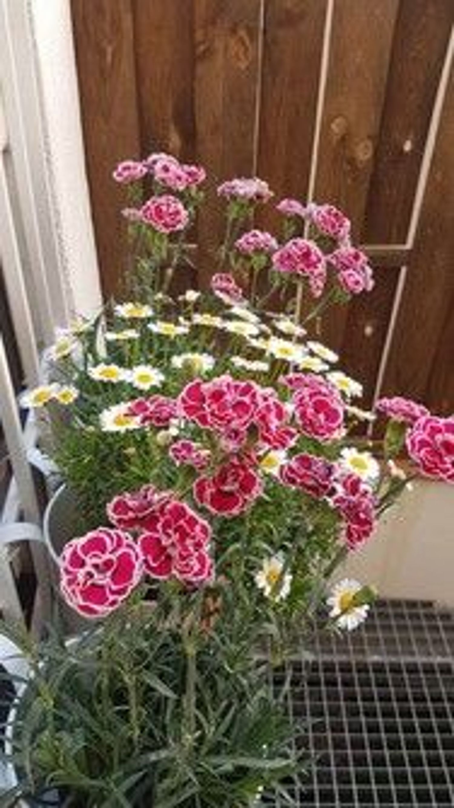 Estudio en calle Victorio, 8 - Foto 14