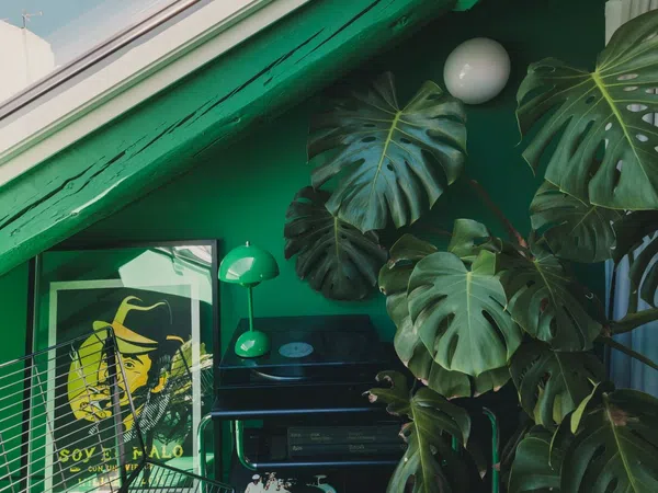 Ático en calle de Andrés Borrego, 15 - Foto 19