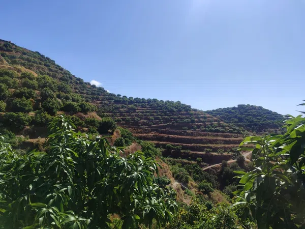 Cortijo en Cortijo en Camino de Río Seco, 36, El Rescate - Río Seco, El Rescate - Río Seco - Foto 19