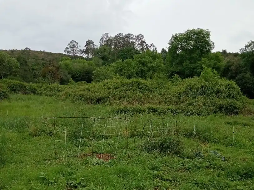 Piso en  Lugar Brañes 34 - Foto 43