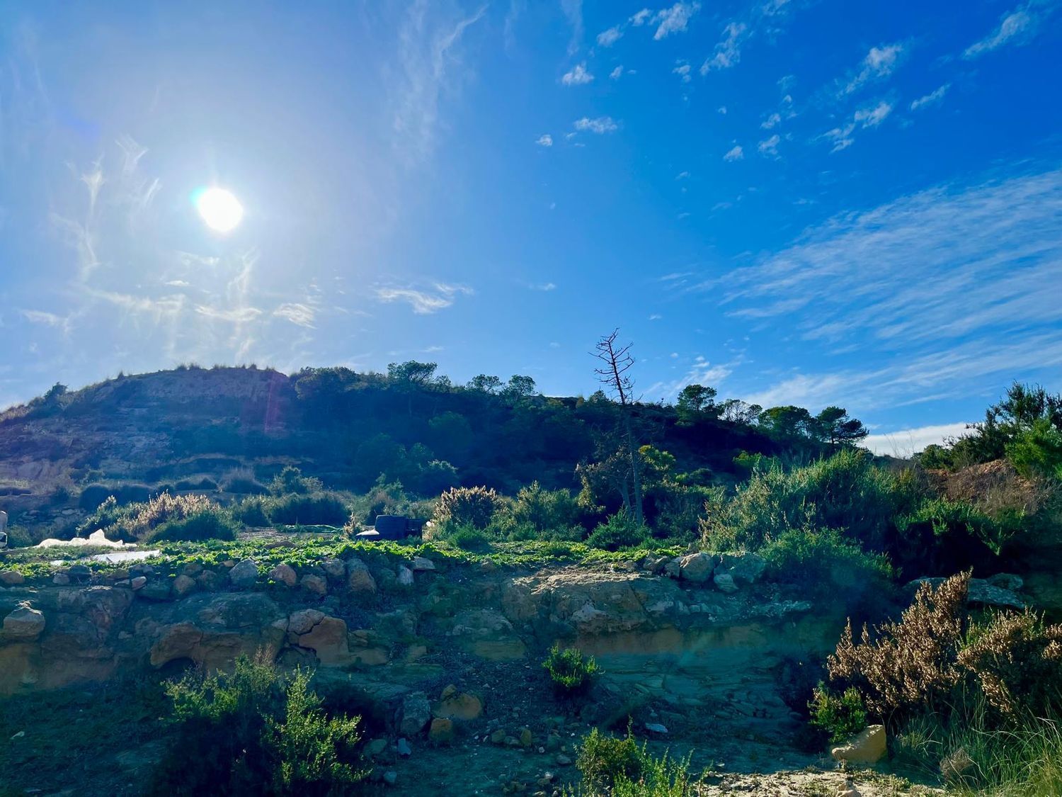 Finca rústica en camino Viejo de Saladas, 2 - Foto 19