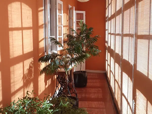 Casa o chalet independiente en Calle Rosalía de Castro, 6 - Foto 4