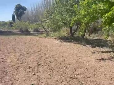 Finca rústica en  Calle de Alfocea 20 - Foto 2