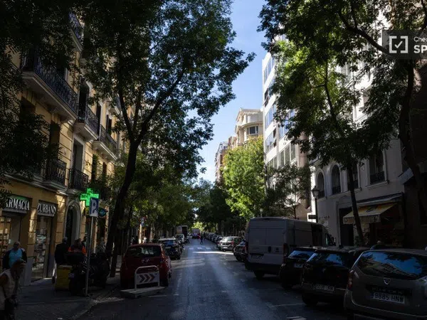Estudio en Calle de Zurbano, Almagro - Foto 17