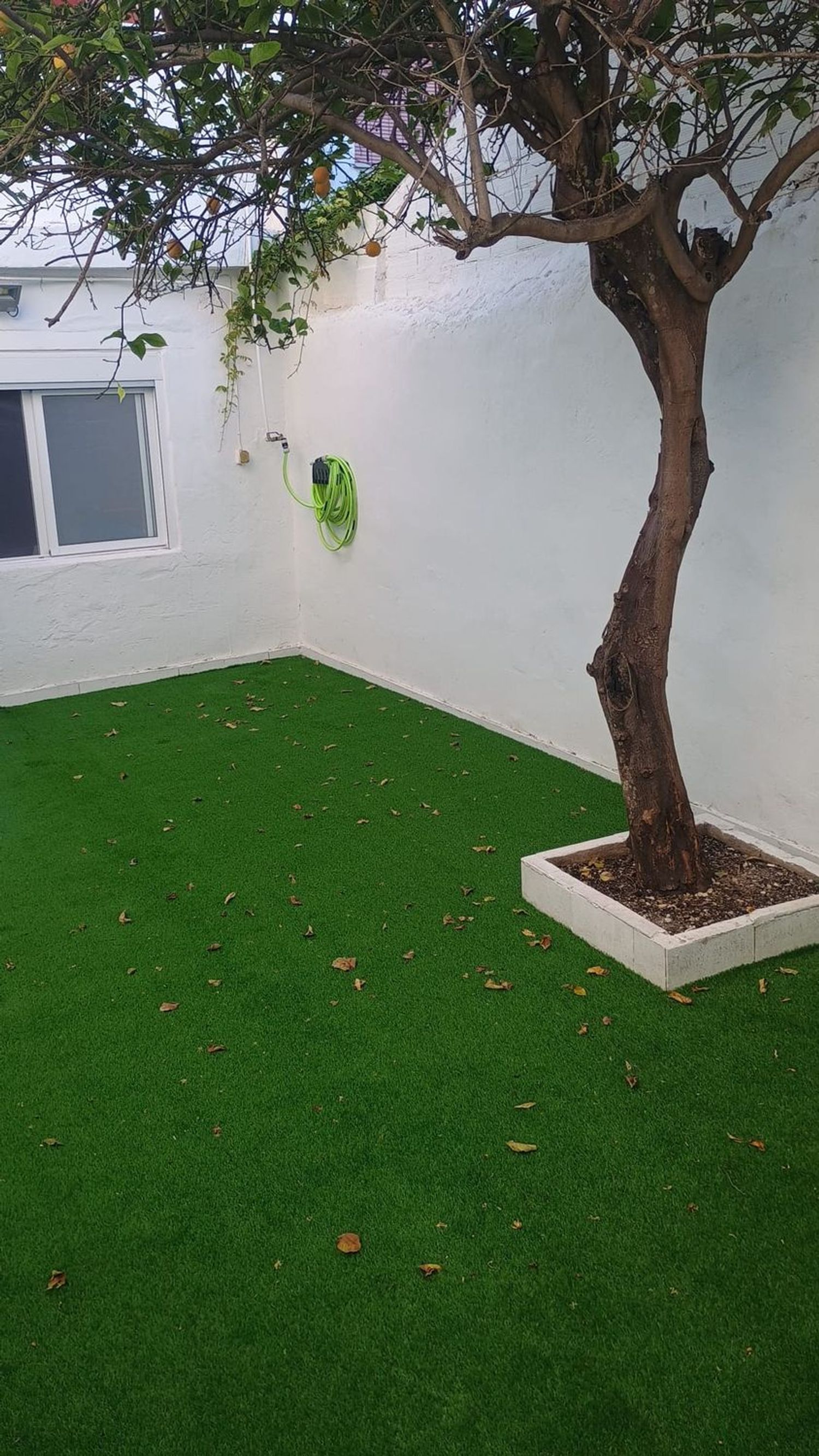 Casa de pueblo en Calle Sau-Mareny Vilches, 280, Mareny Blau - Foto 13