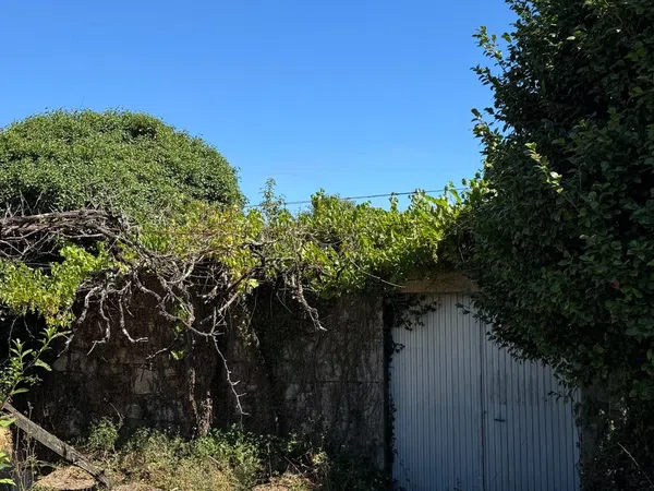 Finca rústica en San Cristóbal de Remesar, 3 - Foto 15