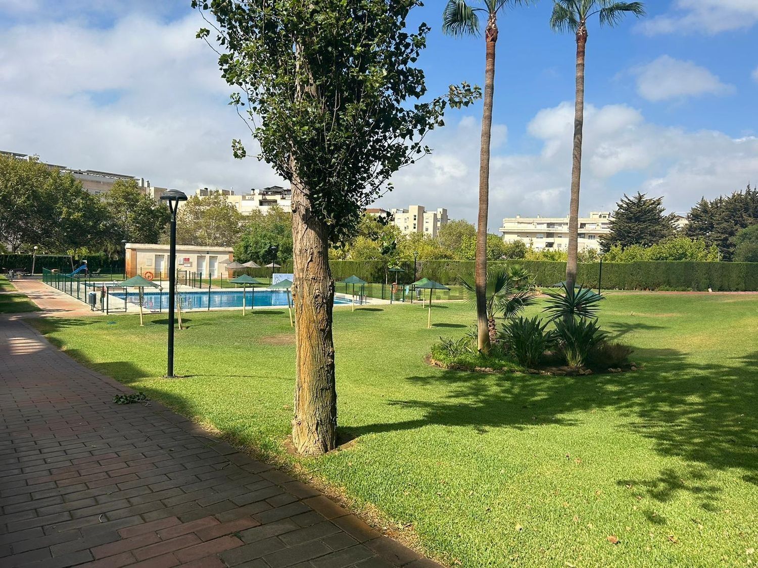 Piso en Calle de Demóstenes, 25, El Consul - El Romeral - Foto 11