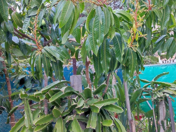 Chalet adosado en calle Almería, 63 - Foto 25