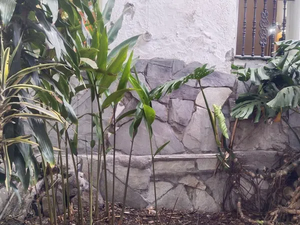 Finca rústica en Carretera Enlace el Ramal, 18 L, Centro, Centro - Foto 8