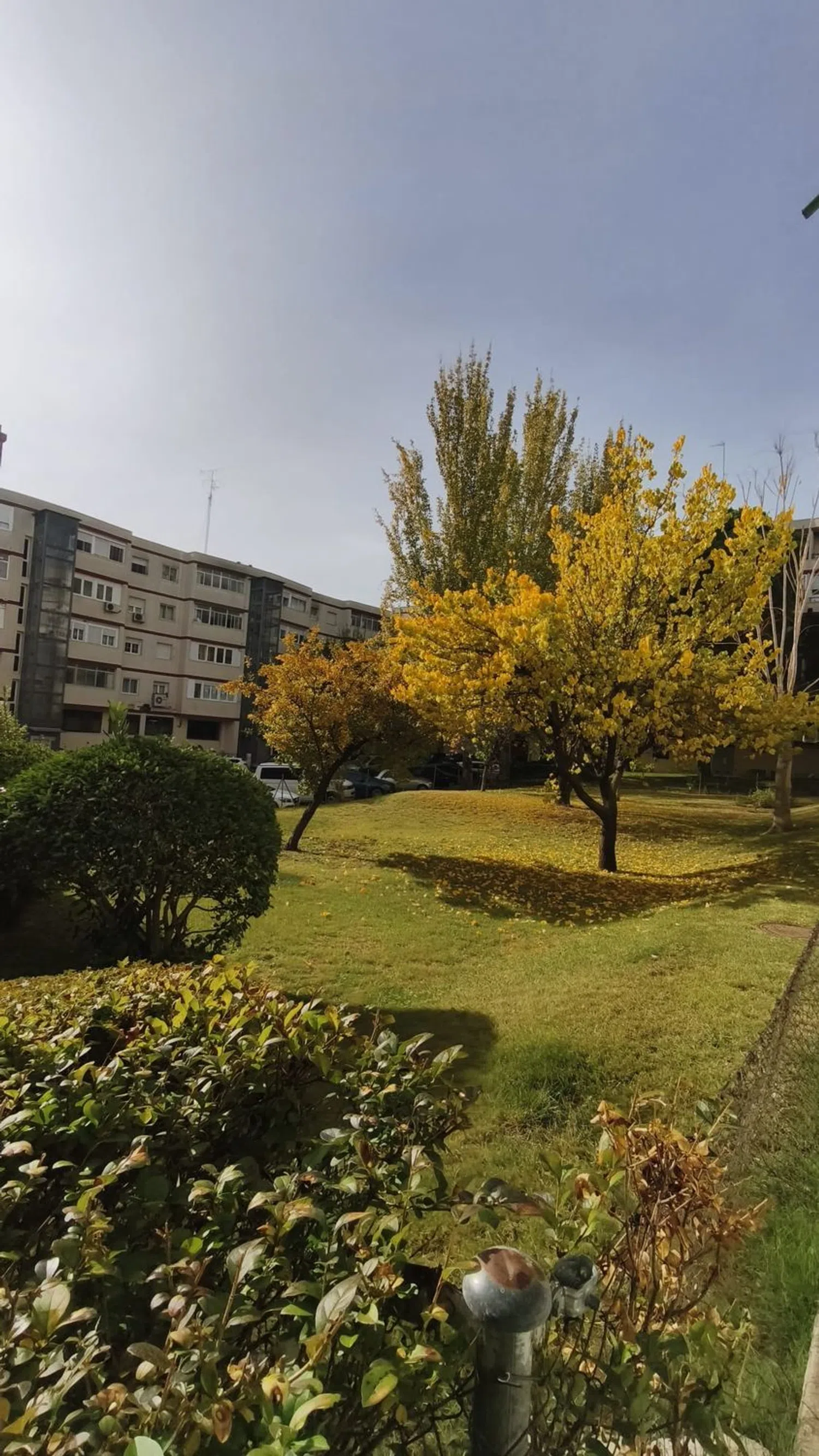 Estudio en calle Chiquinquirá, 36 - Foto 15