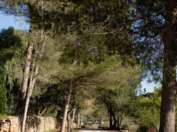 Casa o chalet independiente en La Xara - La Sella - Jesús Pobre - Foto 24
