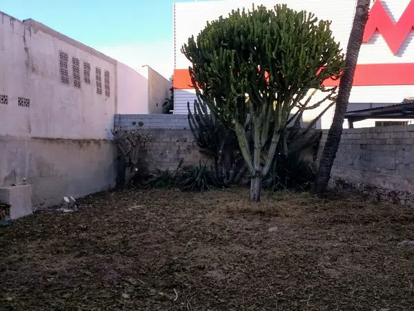 Casa independiente en avenida Alejandro Valverde, 157 - Foto 3