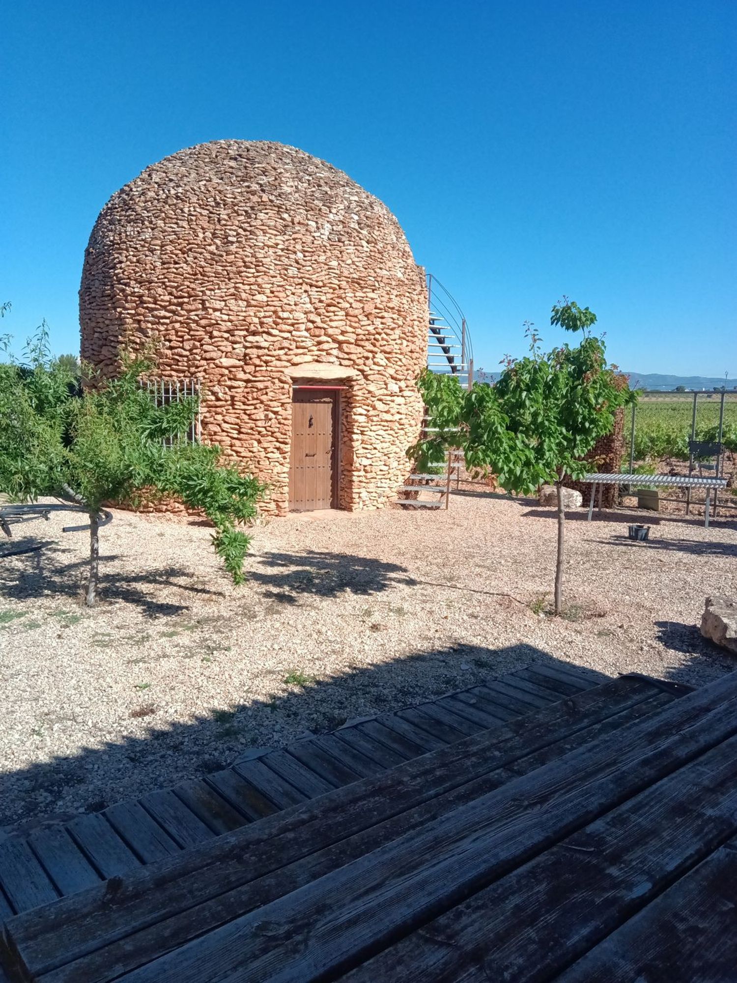 Casa rural en Camino de Vacía Cubos, 13250 - Foto 19