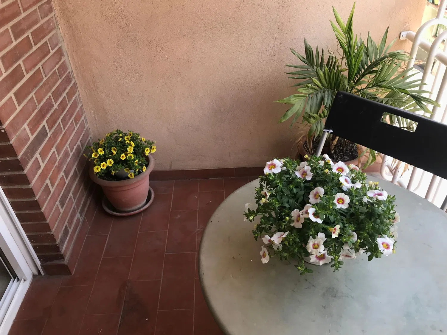 Piso en plaza del Maestro Artola, 1 - Foto 6