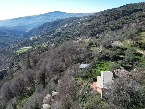 Cortijo en Calle San Pedro, 13 - Foto 4