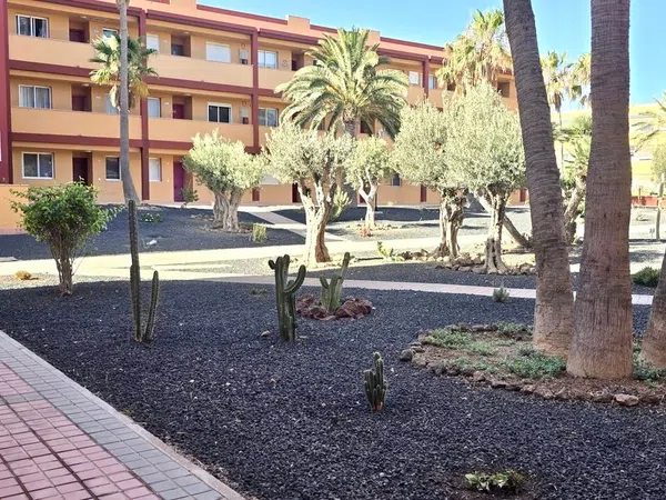 Piso en Calle los Pedruscos, 1, Parque Holandés, Parque Holandés - Foto 19