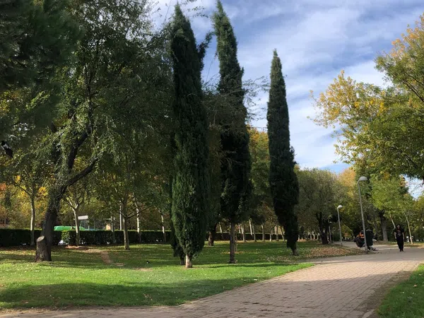 Piso en calle de Alba de Tormes, 28