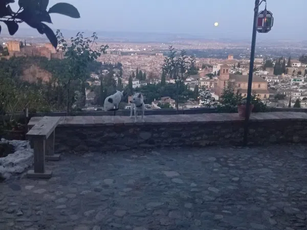 Casa terrera en Carril de San Miguel, 5, Albaicín, Albaicín - Foto 3