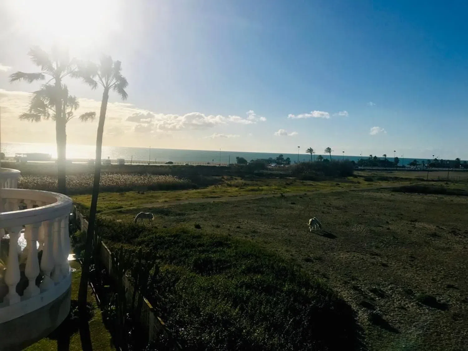 Estudio en camino De la Cizaña, 23 - Foto 12