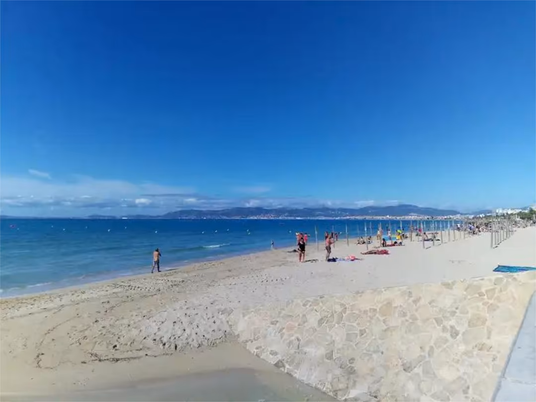 Oficina en  Carrer del Veler 3