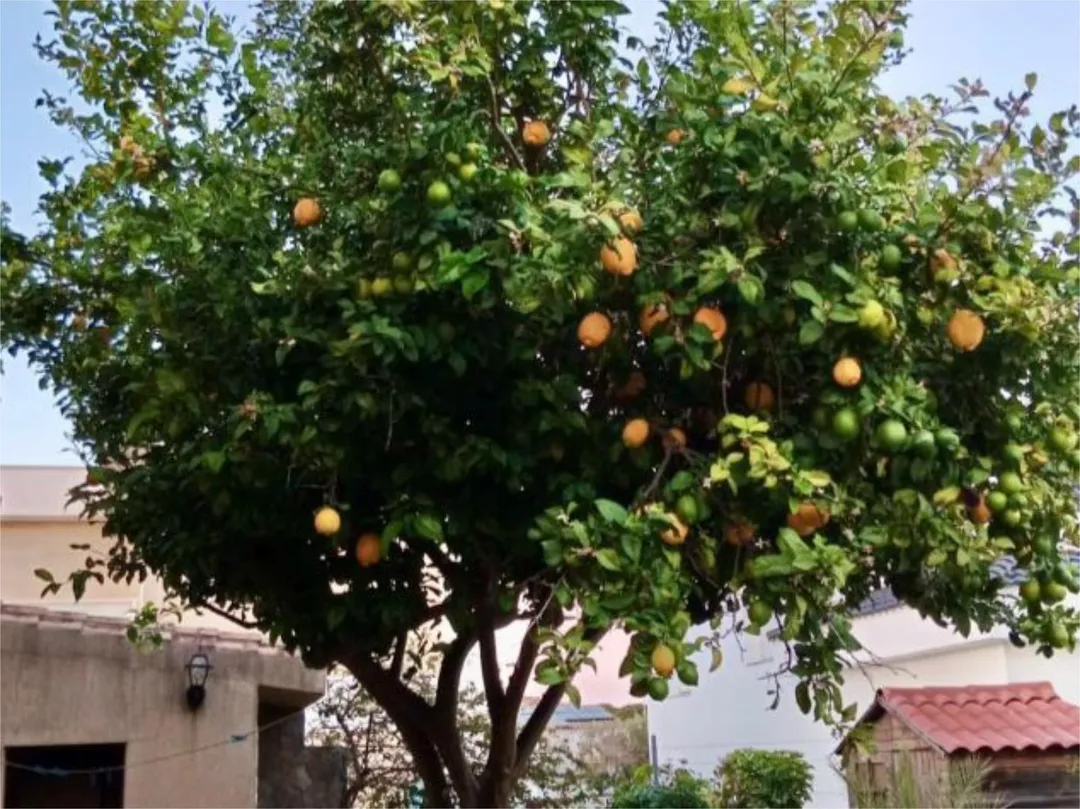 Chalet en  Carretera Madrid-Cádiz 24D - Foto 7