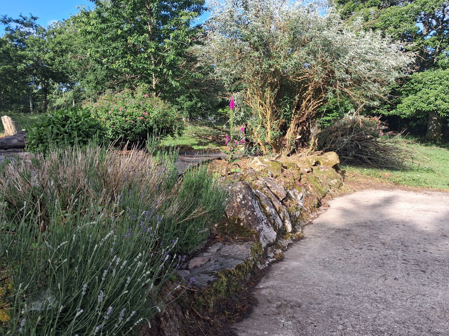 Casa rural en Friol, 1 - Foto 25