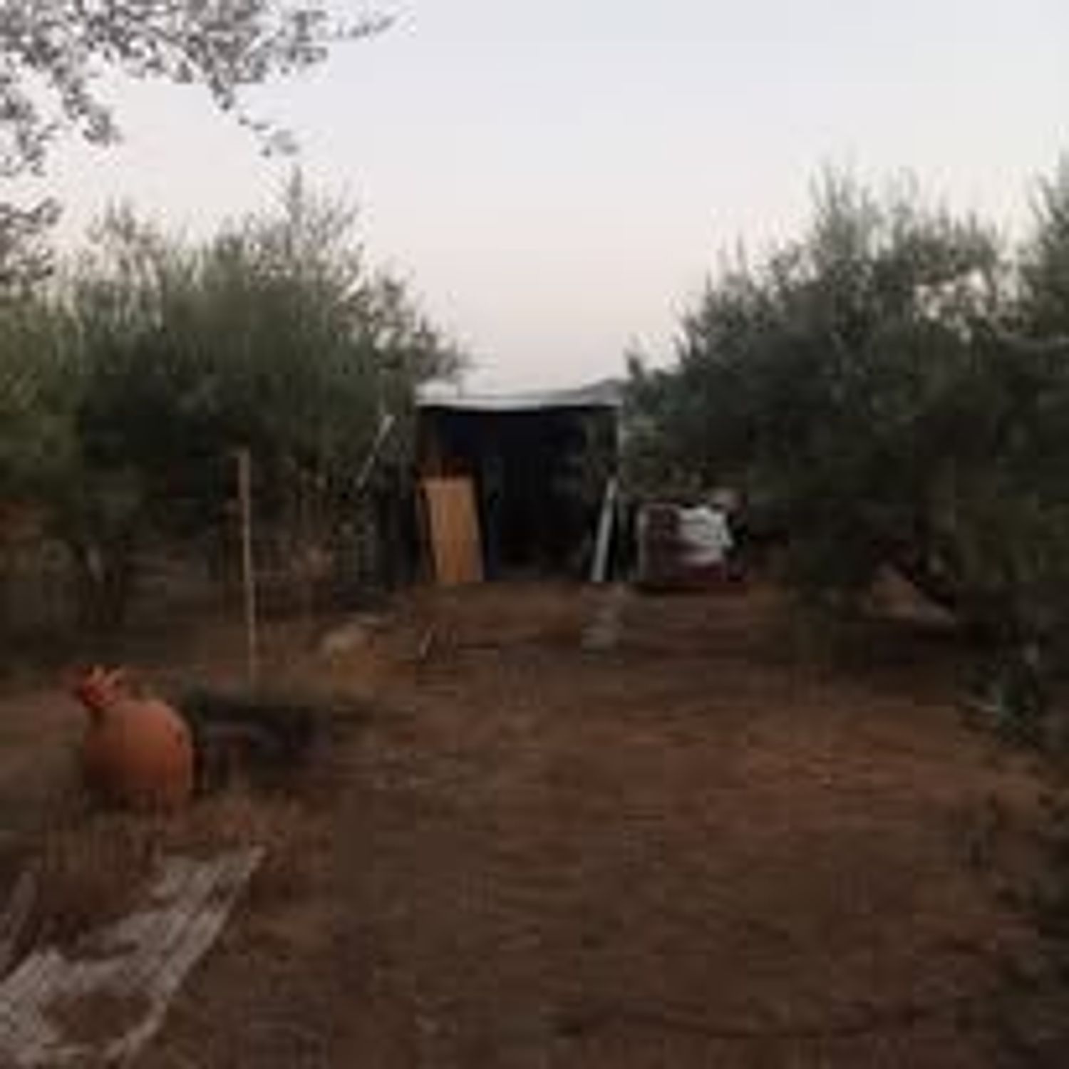 Finca rústica en Poligono, 8, Estación, Estación - Foto 14