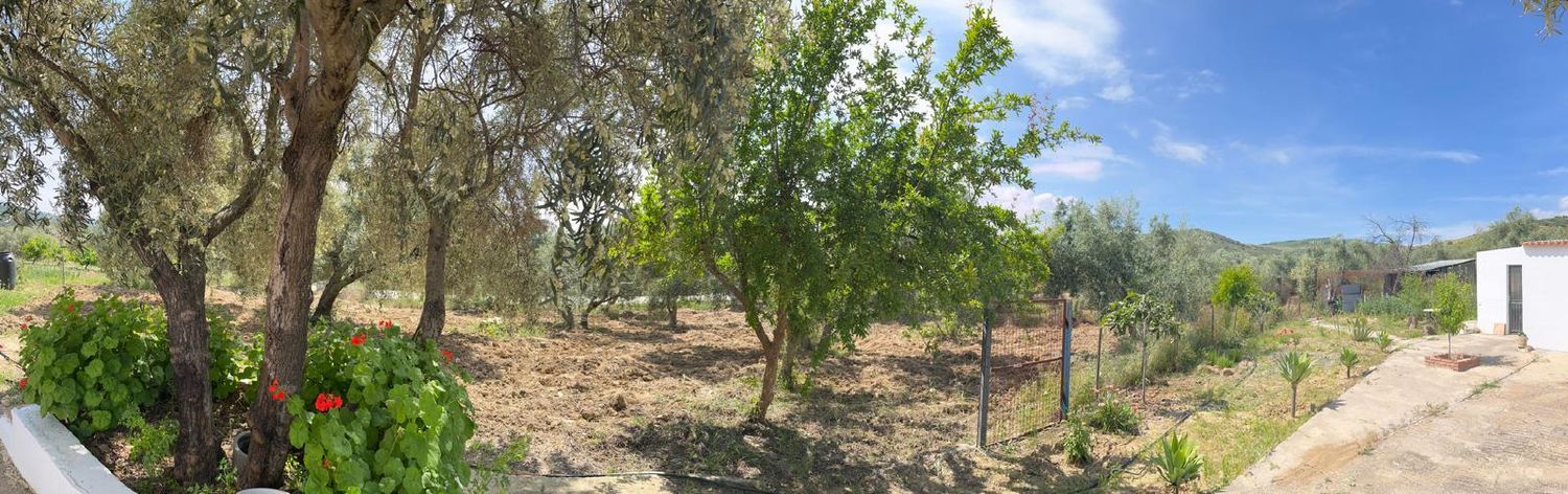 Finca rústica en Via Diseminado El Lentiscar s/n - Foto 6
