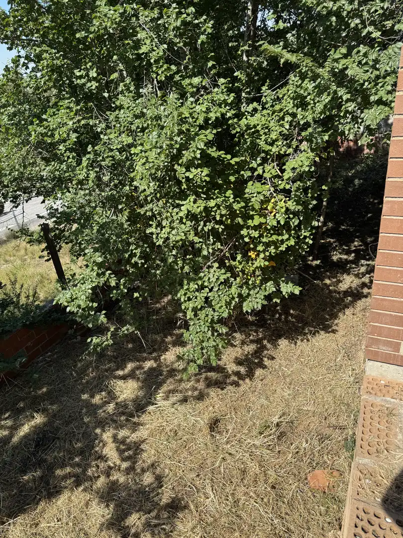 Chalet en  Carrer del Parc 63B - Foto 6
