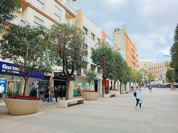 Piso en Calle Roldán y Marín, 8, Avda de Madrid - Pº de la Estación, Avda de Madrid - Pº de la Estación - Foto 7