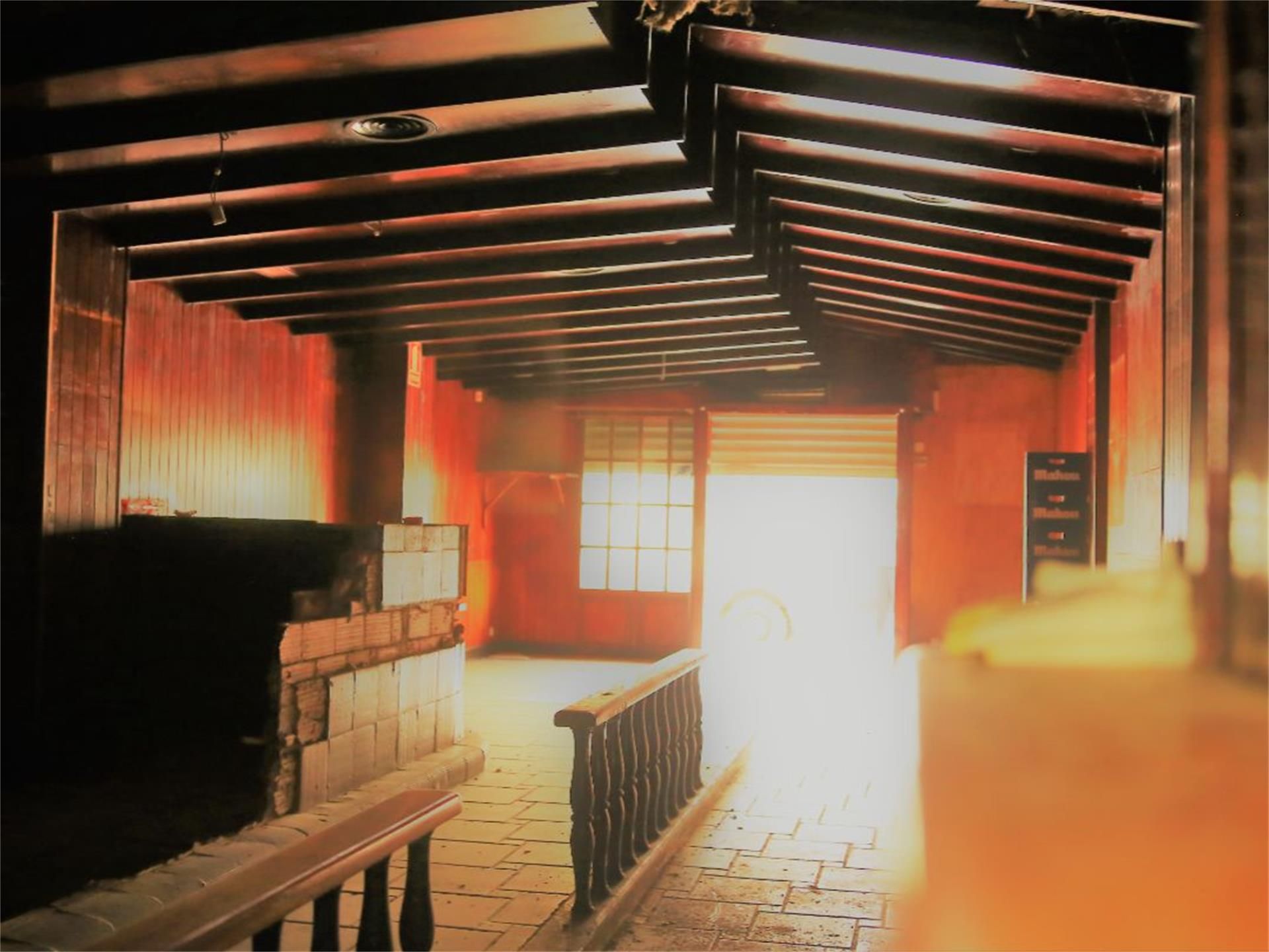 Planta baja en  Avenida Gregorio Gea - Foto 4