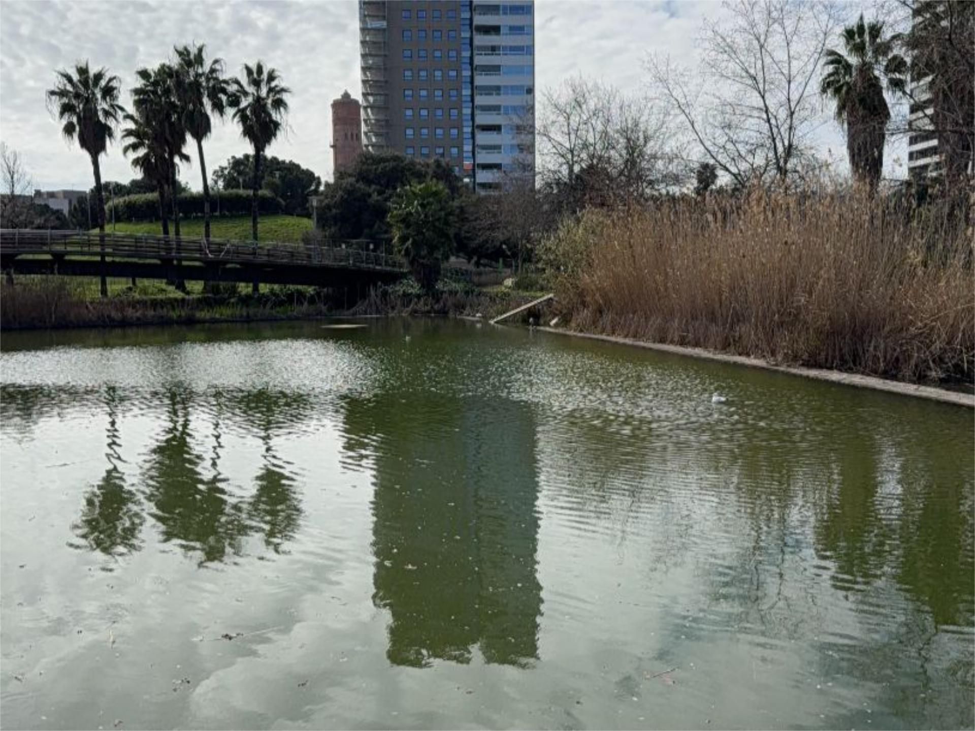 Piso en  Passeig de Garcia Fària 81 - Foto 23