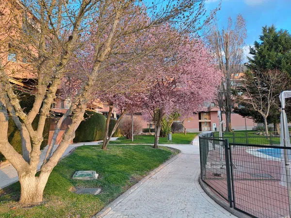 Piso en calle Camilo José Cela, 3 - Foto 30