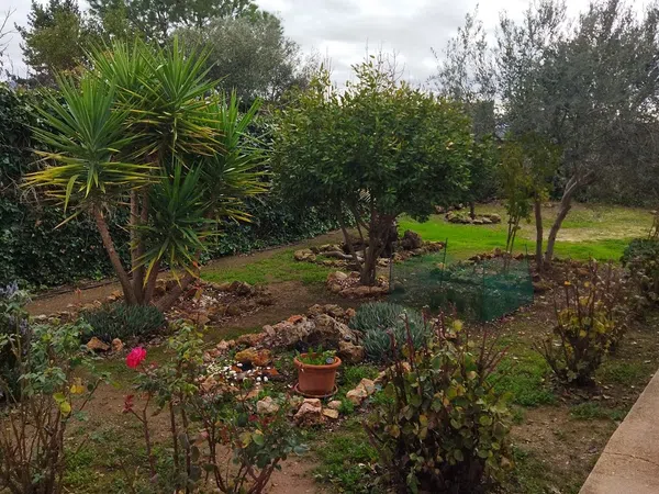 Finca rústica en Calle Puerto los Claveles, 45 Sn - Foto 18