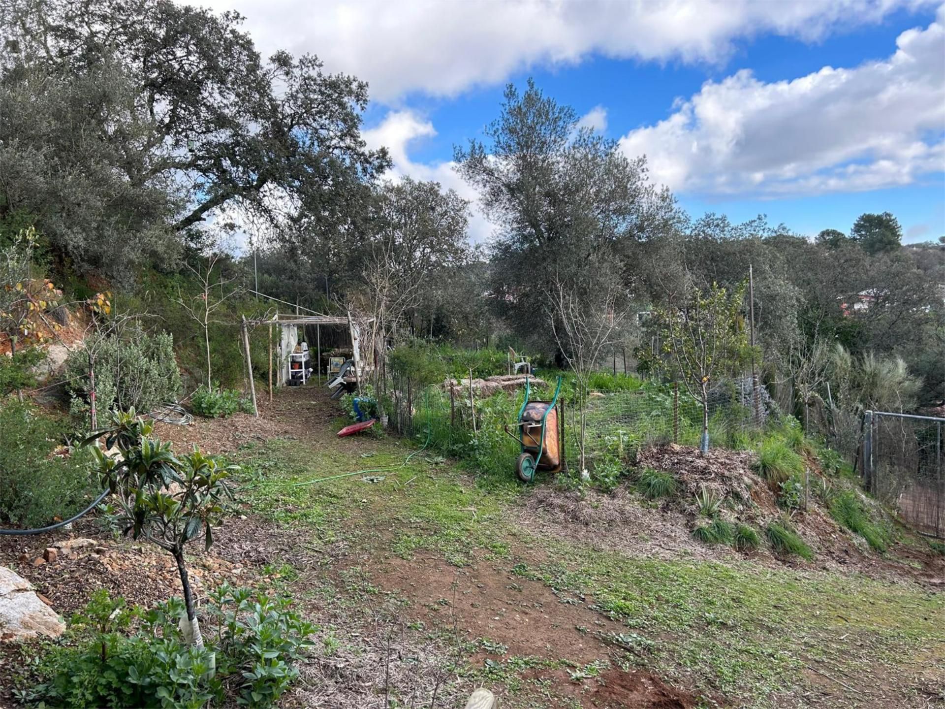 Finca rústica en  Camino Carrascoso Siete Fincas 180D - Foto 8