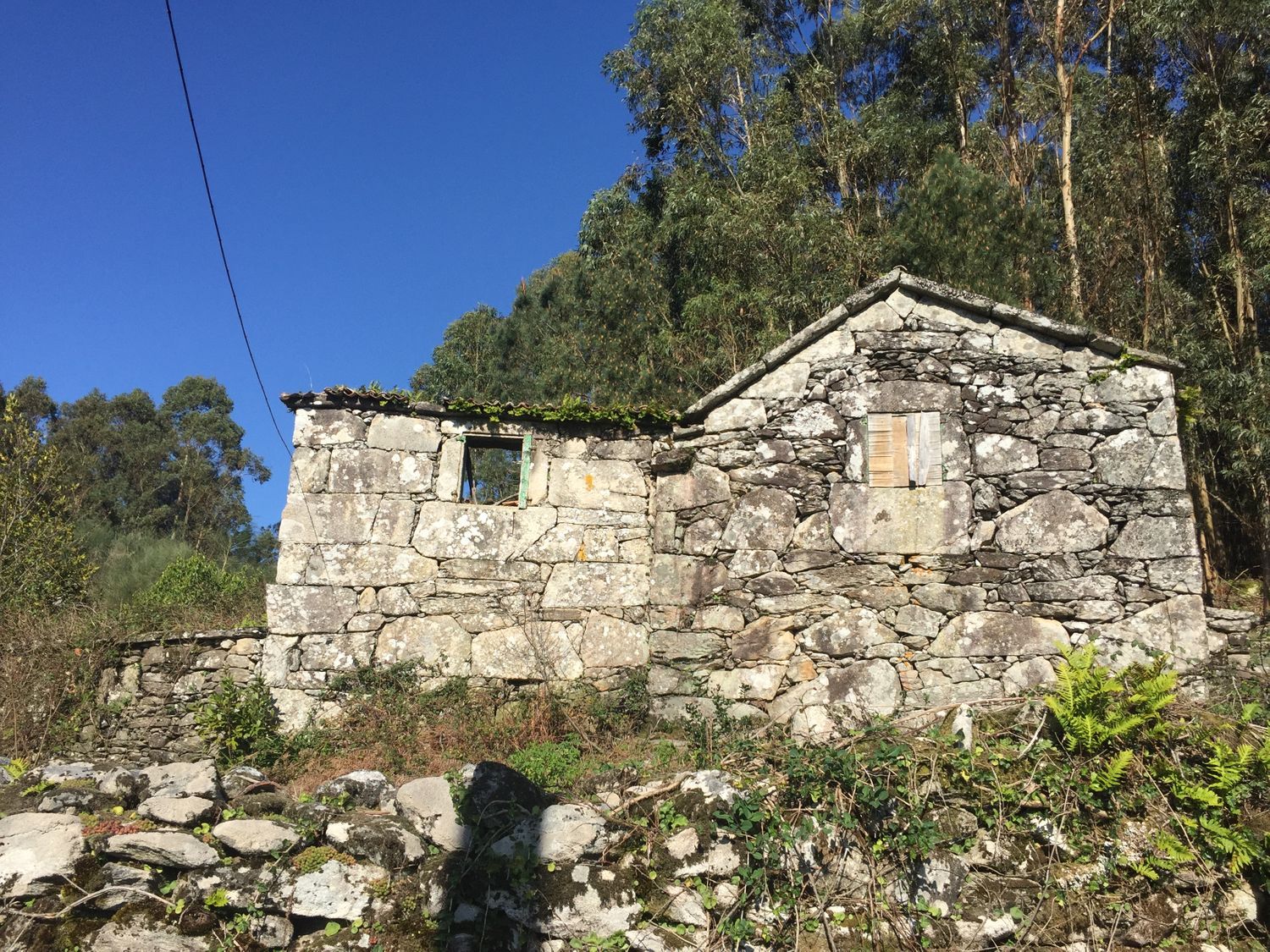 Casa o chalet independiente en Pardavila s/n - Foto 7
