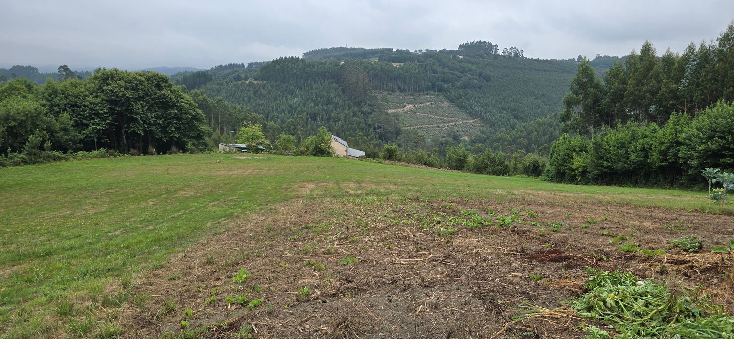 Finca rústica en Lugar bouzamaior s/n - Foto 12