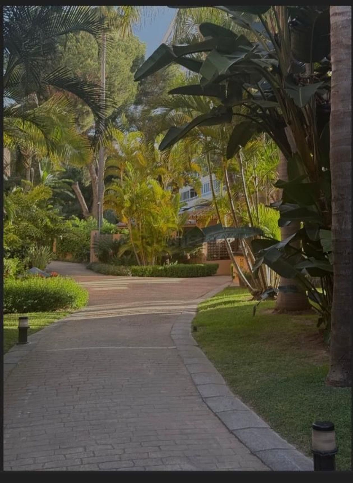 Piso en Avenida Jacaranda, 32 - Foto 15