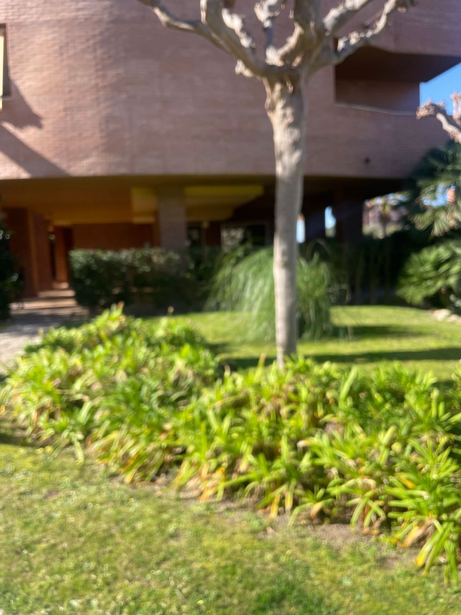 Piso en calle del Cabañal, 5 - Foto 37